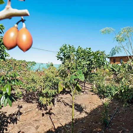 شقة Vinas 1 إيكود ذي لوس فينوس