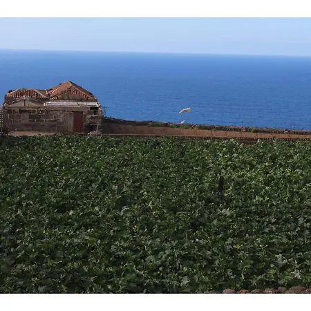 Vinas 1 * Icod De Los Vinos