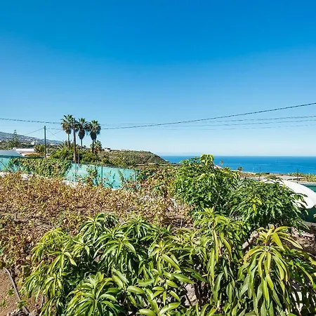 Vinas 1 Icod De Los Vinos