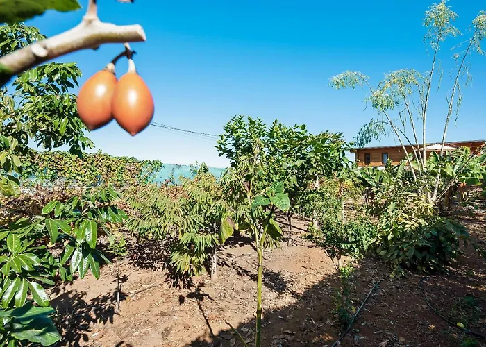 Apartamento Viñas 1 Icod De Los Vinos