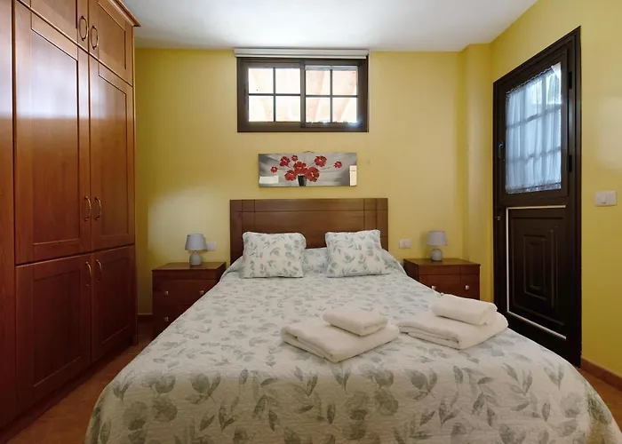 Viñas 1 Icod De Los Vinos