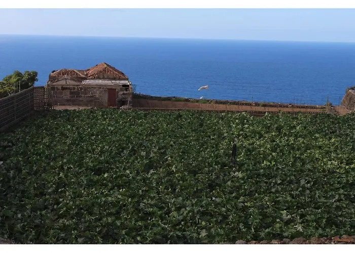 Viñas 1 * Icod De Los Vinos