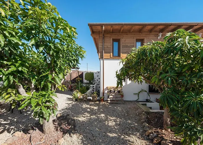 Apartamento Viñas 1