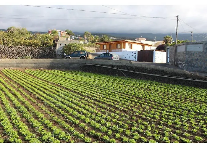 Apartamento Viñas 1 *