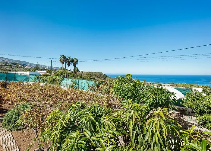 Vinas 1 Icod De Los Vinos